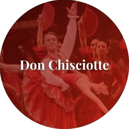 Don Chisciotte
